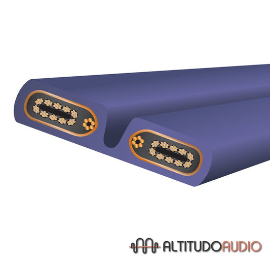 Aurora 10 Power Conditioning Cord