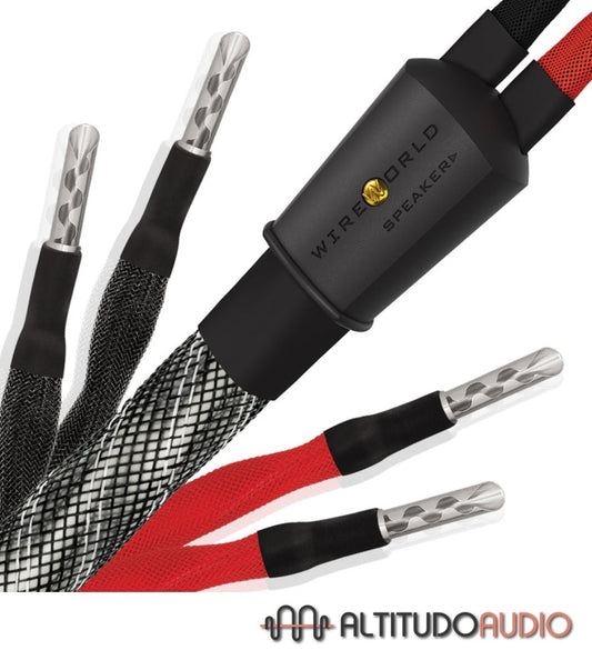Wireworld PLATINUM ECLIPSE 10 Speaker Cable