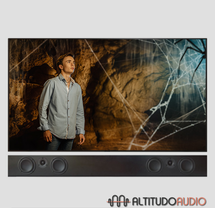 Tribe Duo LCR Speaker (Each)