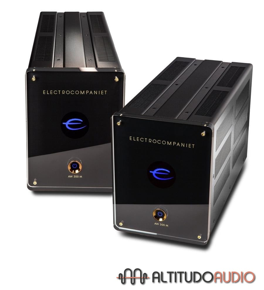 AW 300 M Mono Power Amplifier