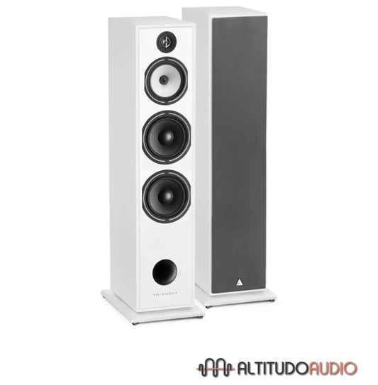 Triangle Borea BR10 Floorstanding Speaker (Pair)
