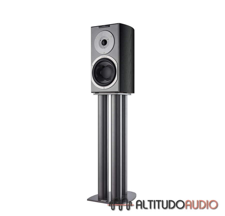 Audiovector R1 Signature - Special Order