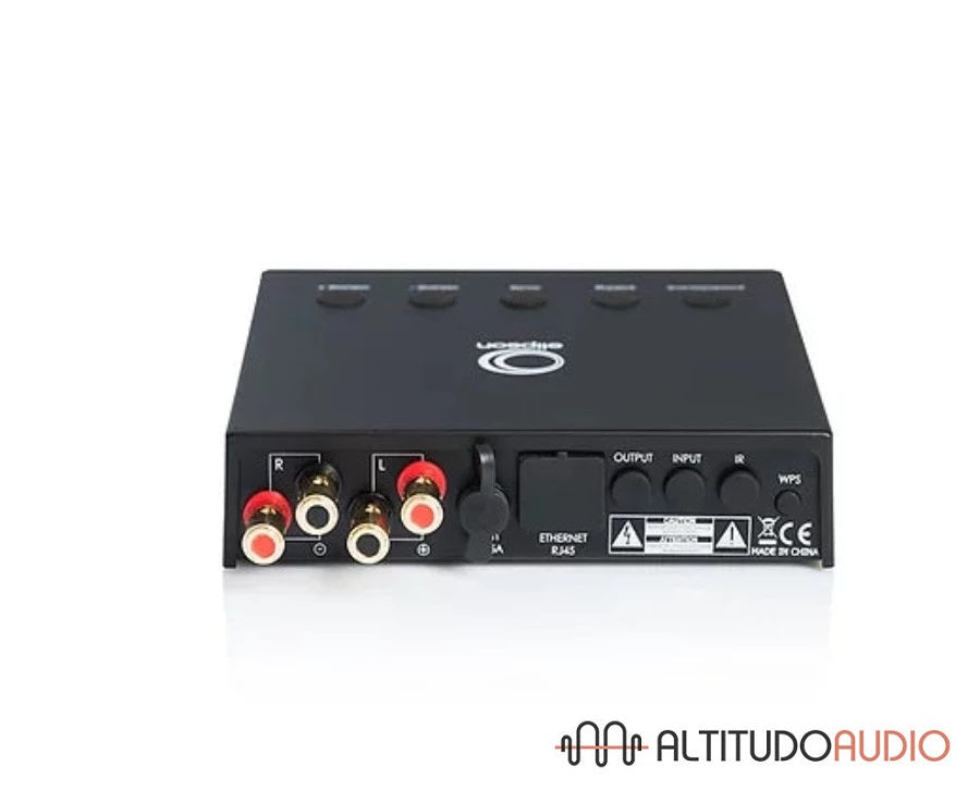 Connect 250 Amplifier