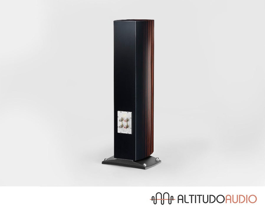 Triangle Magellan Cello 40th Anniversary Edition