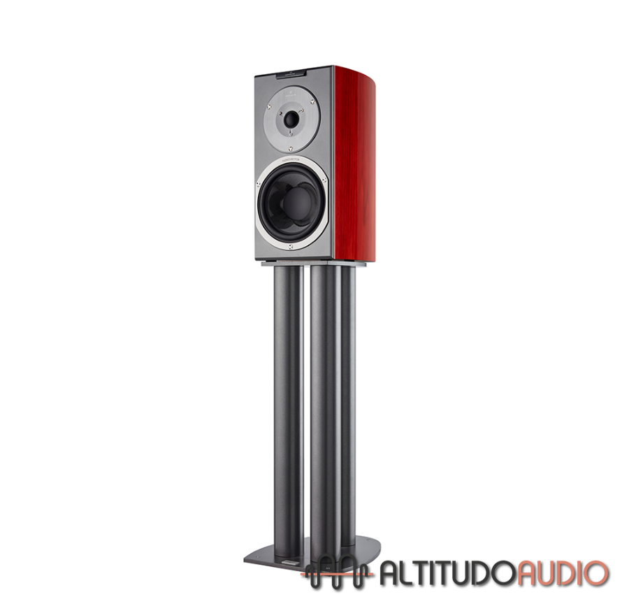 Audiovector R1 Signature - Special Order