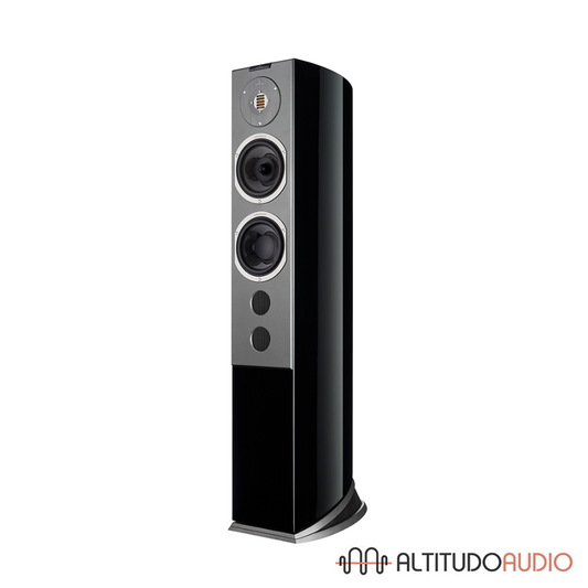 Audiovector R 6 Avantgarde - SPECIAL ORDER