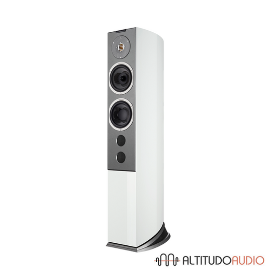 Audiovector R 6 Avantgarde - SPECIAL ORDER