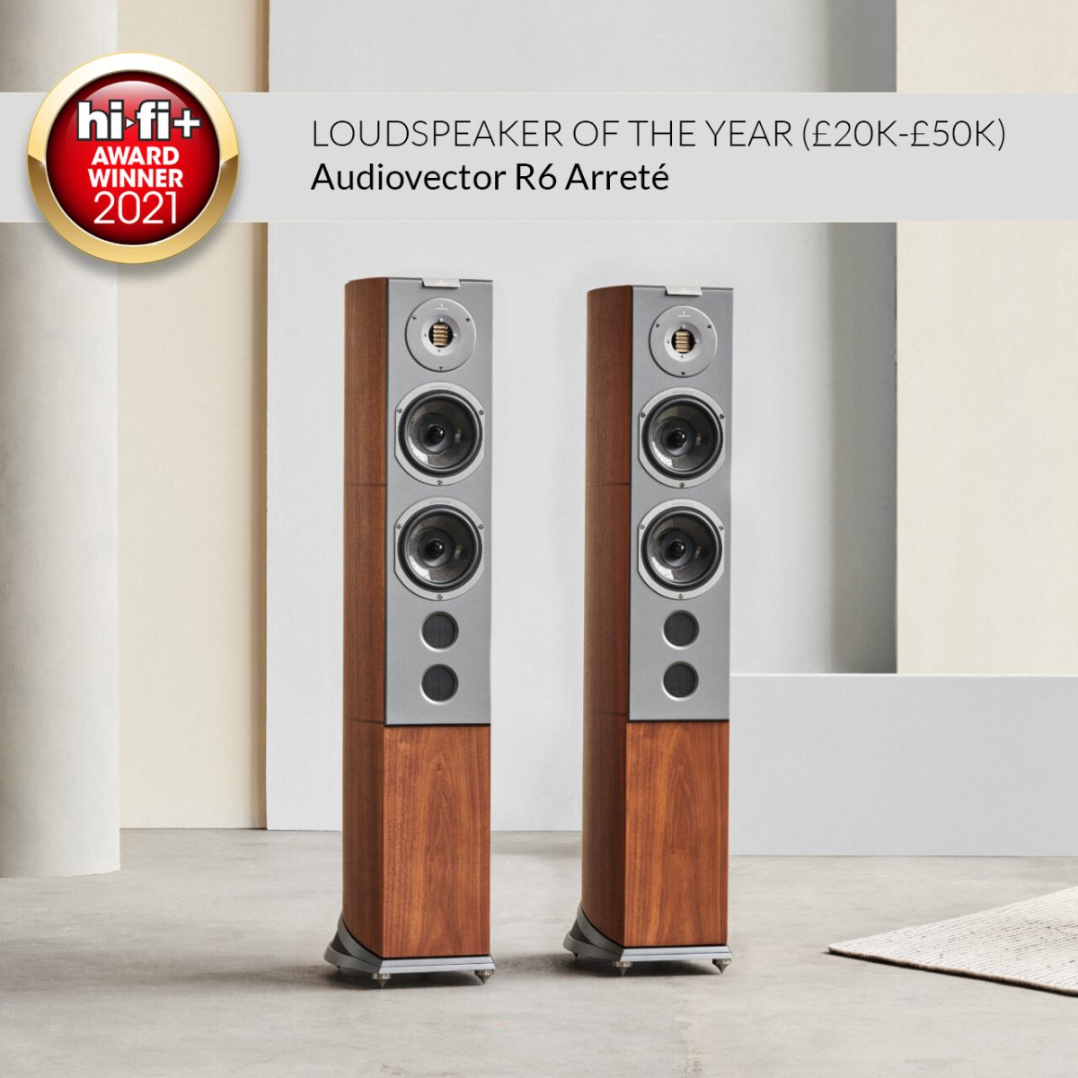 Audiovector R 6 Avantgarde Arreté - SPECIAL ORDER (with Grounding Cable)