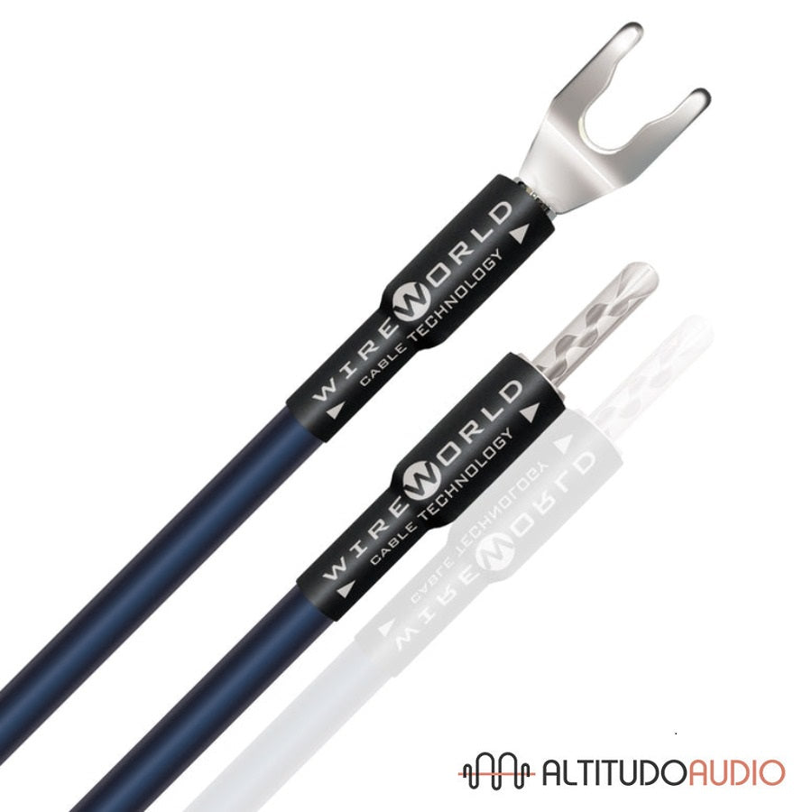 Oasis 8 Biwire Jumpers