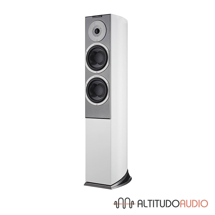 Audiovector R 3 Signature - SPECIAL ORDER