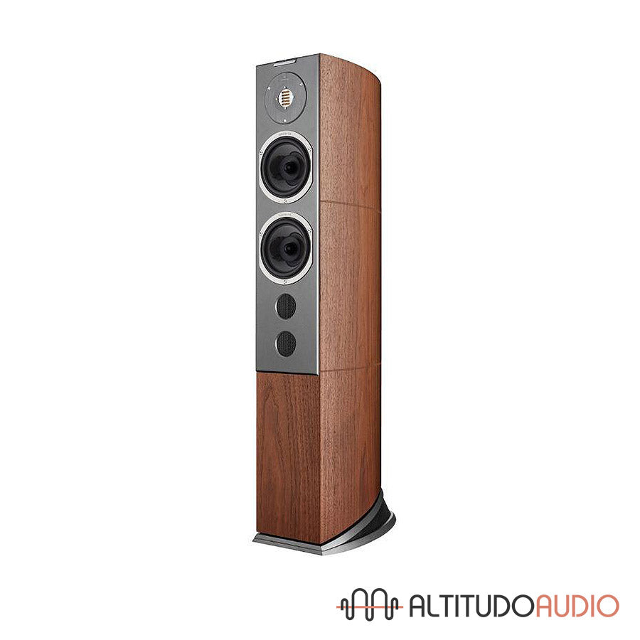 Audiovector R 6 Signature - SPECIAL ORDER