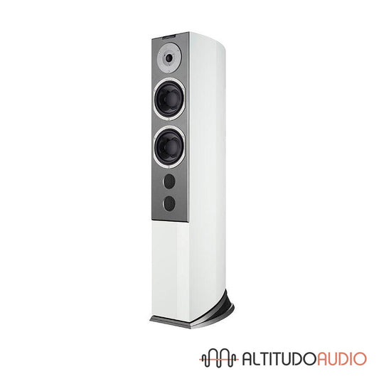 Audiovector R 6 Signature - SPECIAL ORDER