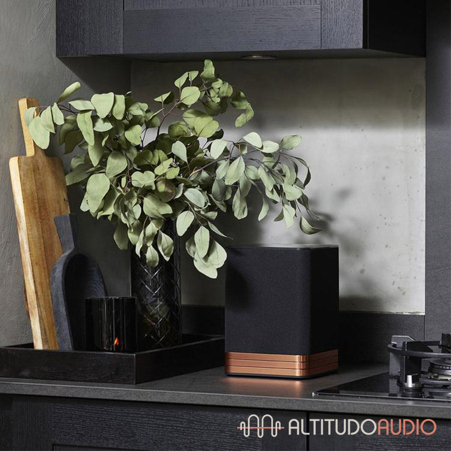 TANA SL2 Speaker & Streamer