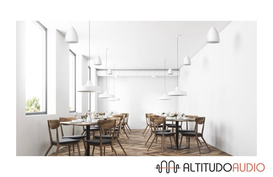 Architect In Bell 6-Inch 2-Way Pendant Speaker(Each)