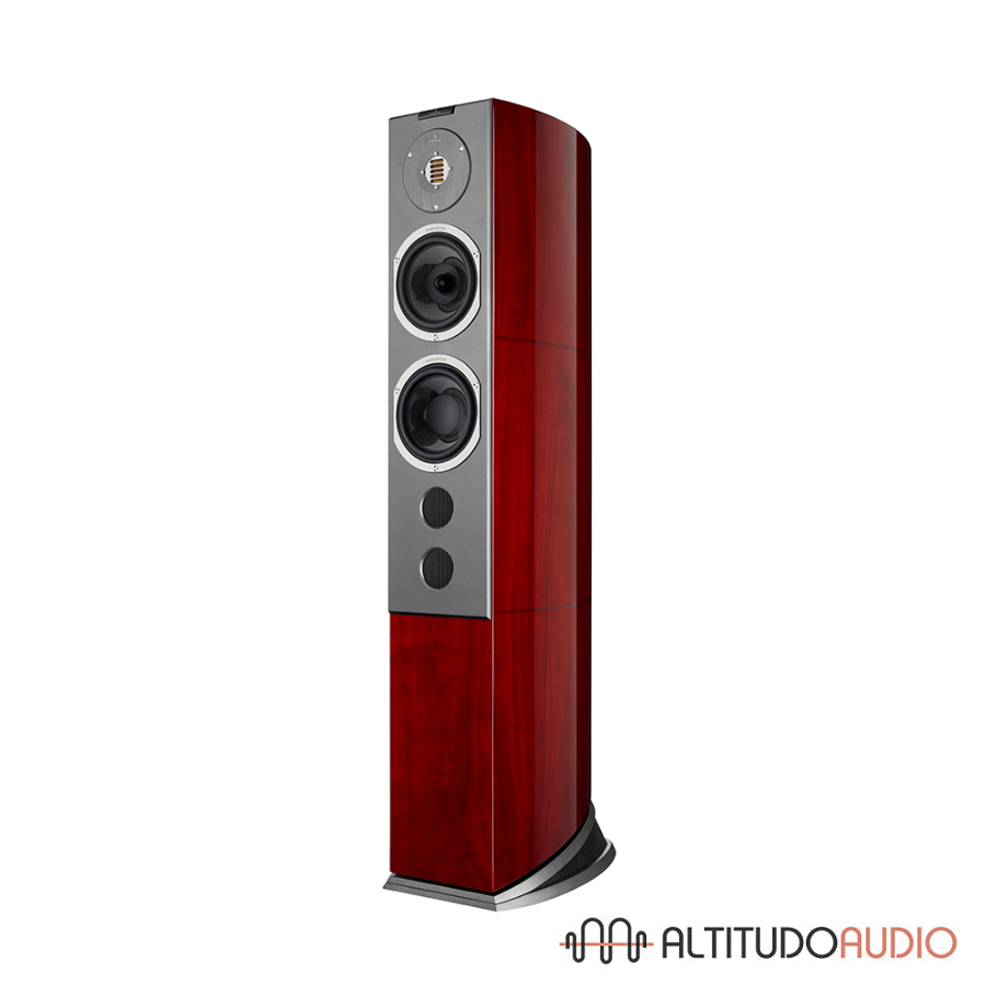 Audiovector R 6 Avantgarde - SPECIAL ORDER