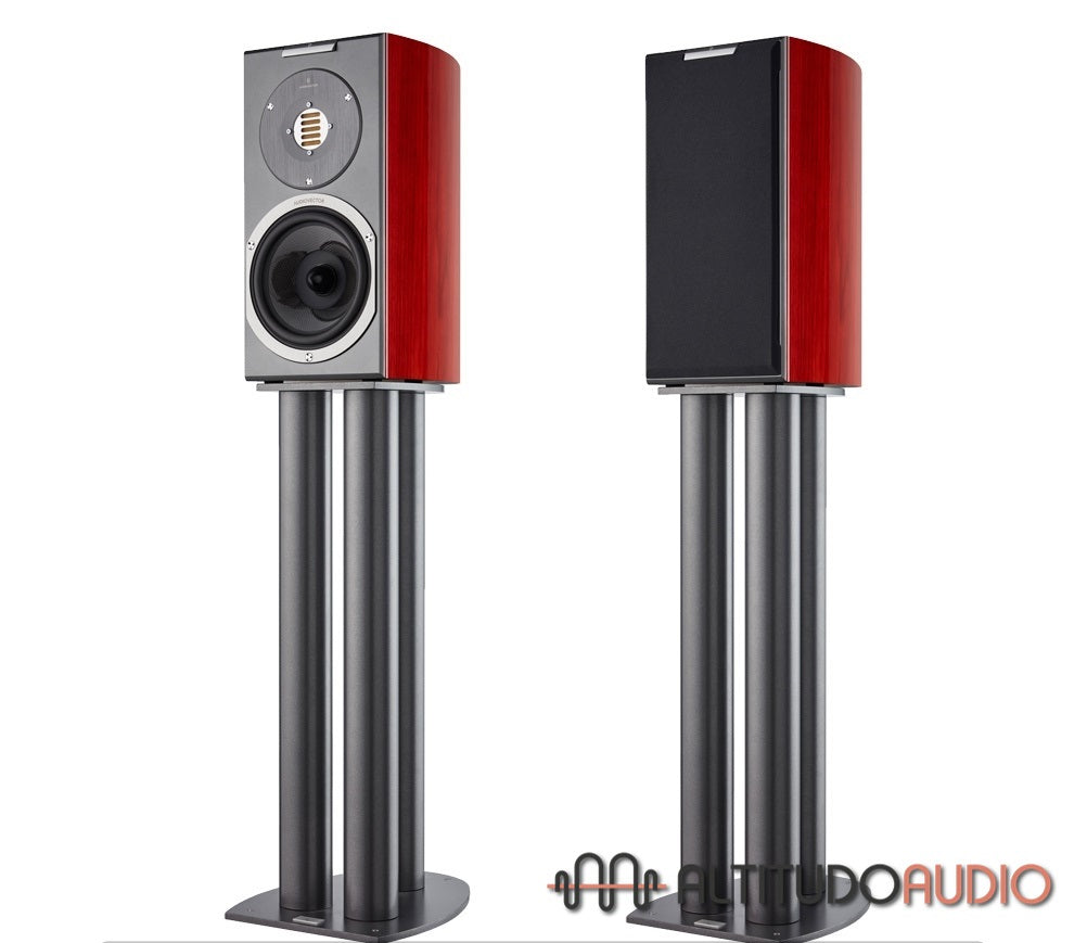 Audiovector R1 Avantgarde Arrete (with Grounding Cable)