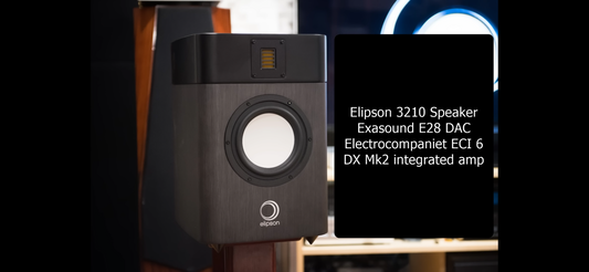 Synergy! This Elipson speaker and Electrocompaniet amplifier is a brand you should discover.
