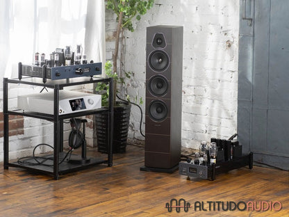 Neo-Classic SE/PP 300B Single Ended Triode Monoblock Amplifier (Pair)