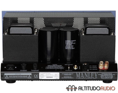 Neo-Classic 250W Monoblock Amplifier (Pair)
