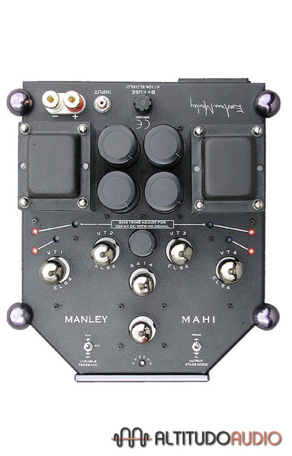 Mahi Monoblock Amplifier (Pair)