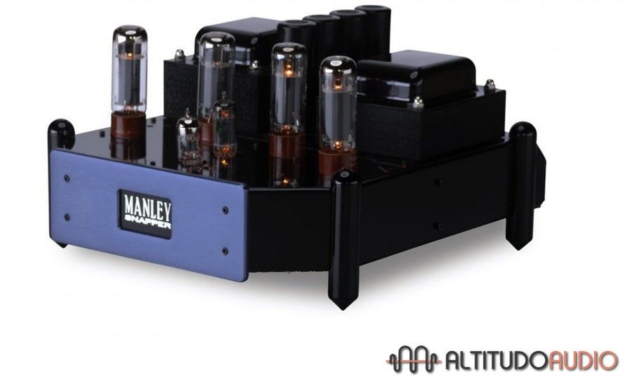 Snapper Tube Monoblock Amplifier (Pair)
