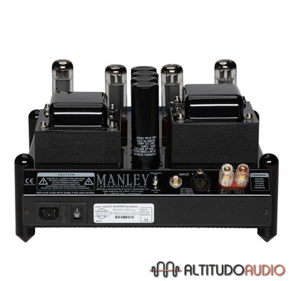 Snapper Tube Monoblock Amplifier (Pair)