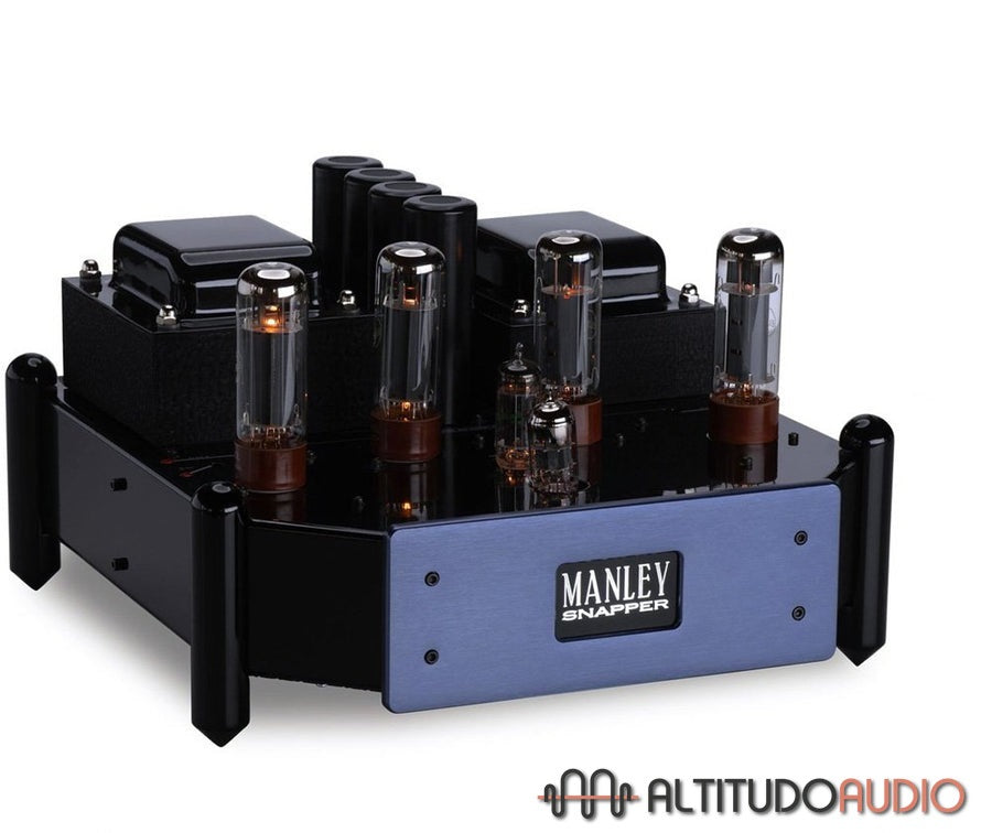 Snapper Tube Monoblock Amplifier (Pair)