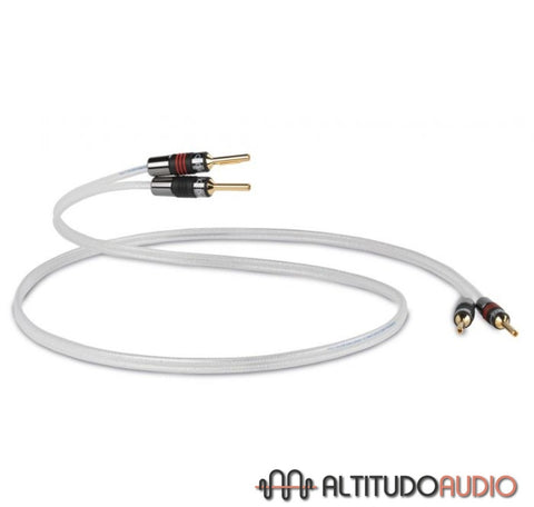 QED Reference Silver Anniversary XT Pre-Term Speaker Cable - Pair