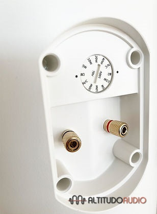 Rain 8 100V Outdoor Speakers (PAIR)