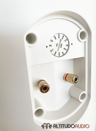 Rain 6 100V Outdoor Speakers (PAIR)