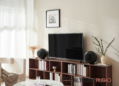 Elipson Planet L Performance Speaker (Each)