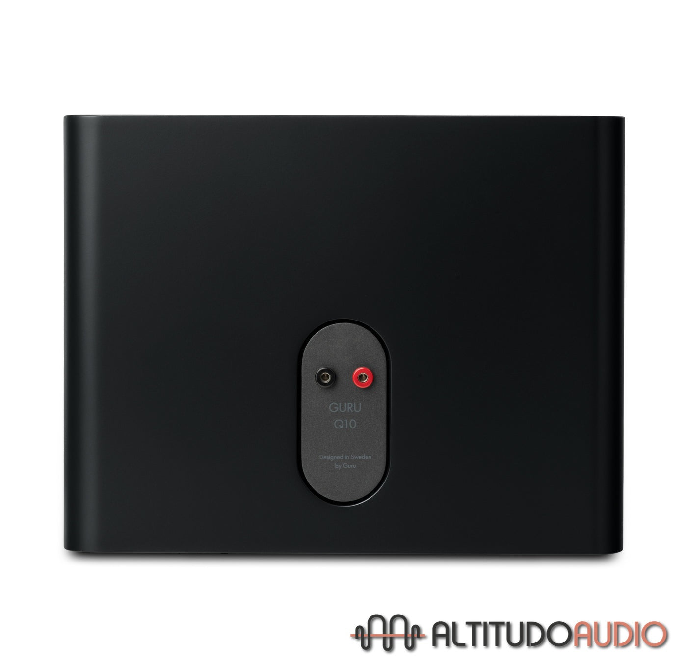 GURU Q10 Monitor Speaker