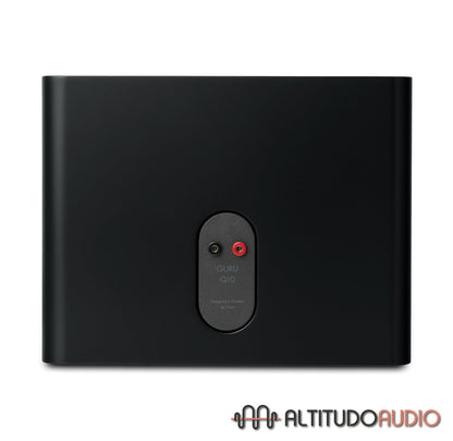 GURU Q10 Monitor Speaker