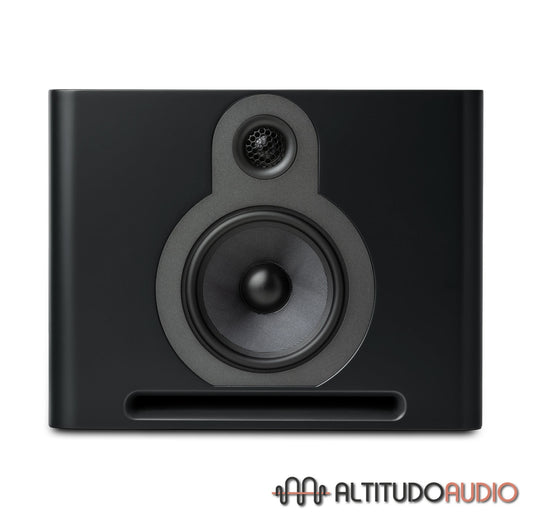 GURU Q10 Monitor Speaker