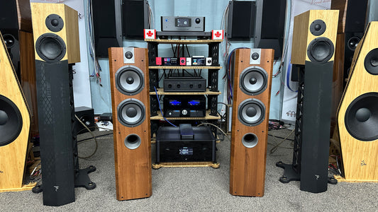 Focal Chorus V Speakers