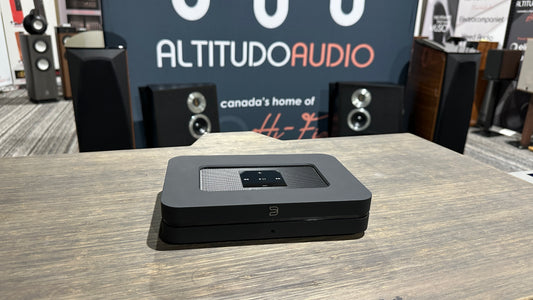 Bluesound NODE 2i