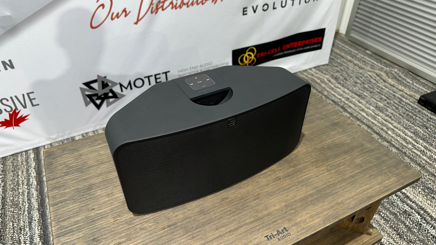 Bluesound PULSE 2i - Premium Wireless Multi-Room Music Streaming Speaker