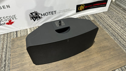 Bluesound PULSE 2i - Premium Wireless Multi-Room Music Streaming Speaker