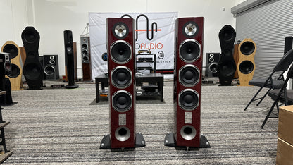 Triangle Magellan Cello (Pre-Owned)