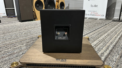Bowers & Wilkins 2 - CTSW10 and SA1000 Sub Amp (Pre-owned)