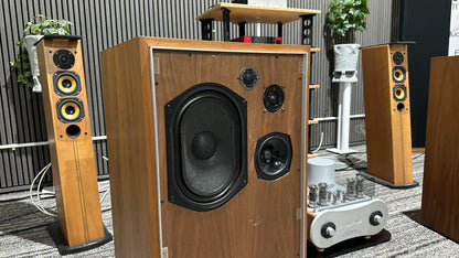 IMF TLS80 II transmission line speakers(Pre-Owned)
