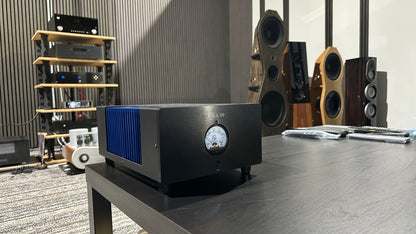 KWA 99 Monoblocks (Pair) (DEMO)