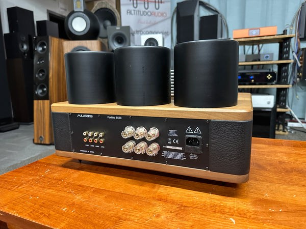 Auris Fortino 6550 Integrated Tube Amplifier - preowned really good condition