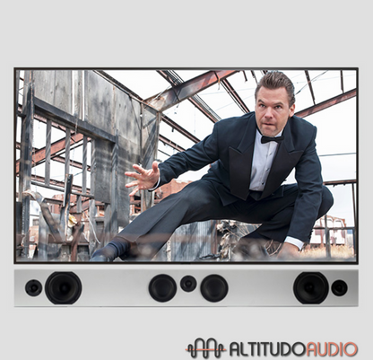 Tribe Trio LCR Speaker (Each)