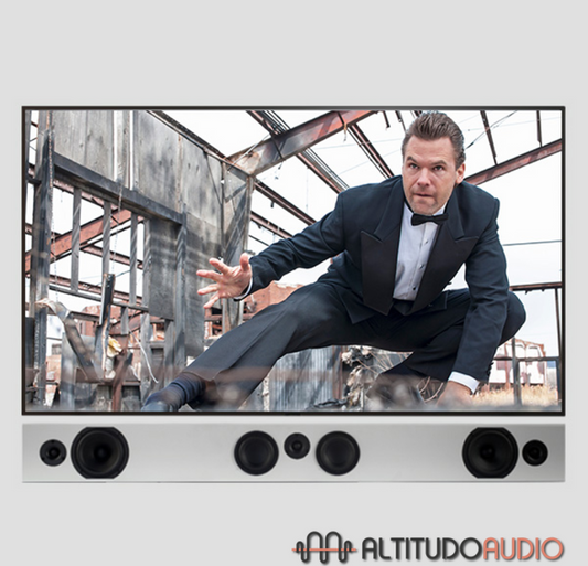 Tribe Trio LCR Speaker (Each)