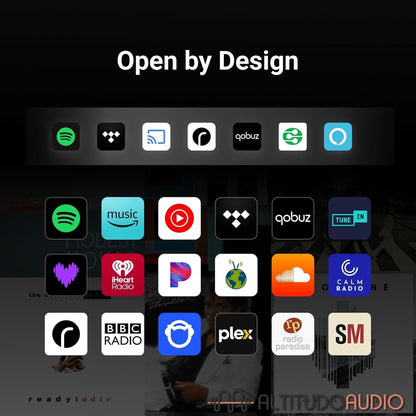 WiiM Sound Lite Smart Speaker