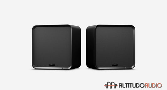 SE100 Passive Speaker