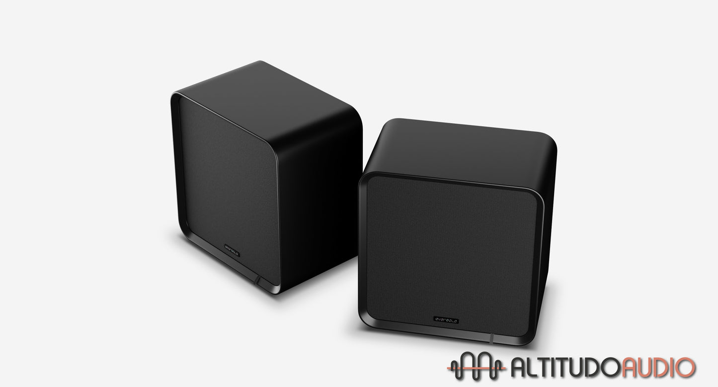 SE100 Passive Speaker