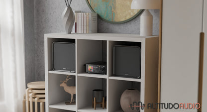 SE100 Passive Speaker