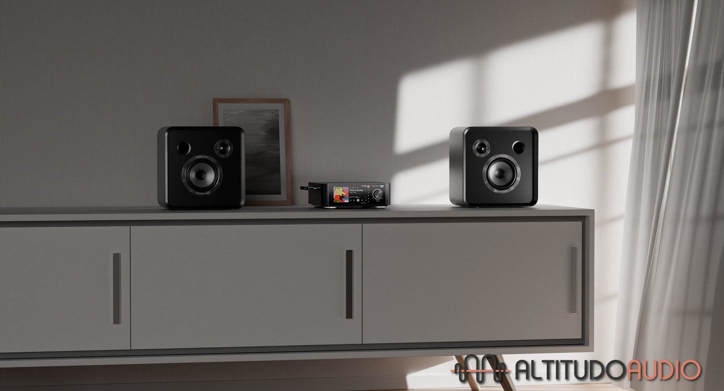 SE100 Passive Speaker